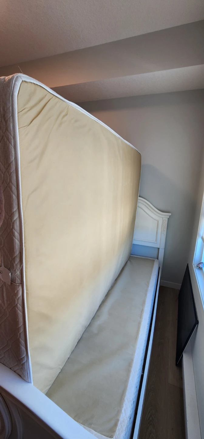 Double Tufted Mattress and Box Spring - photo 4