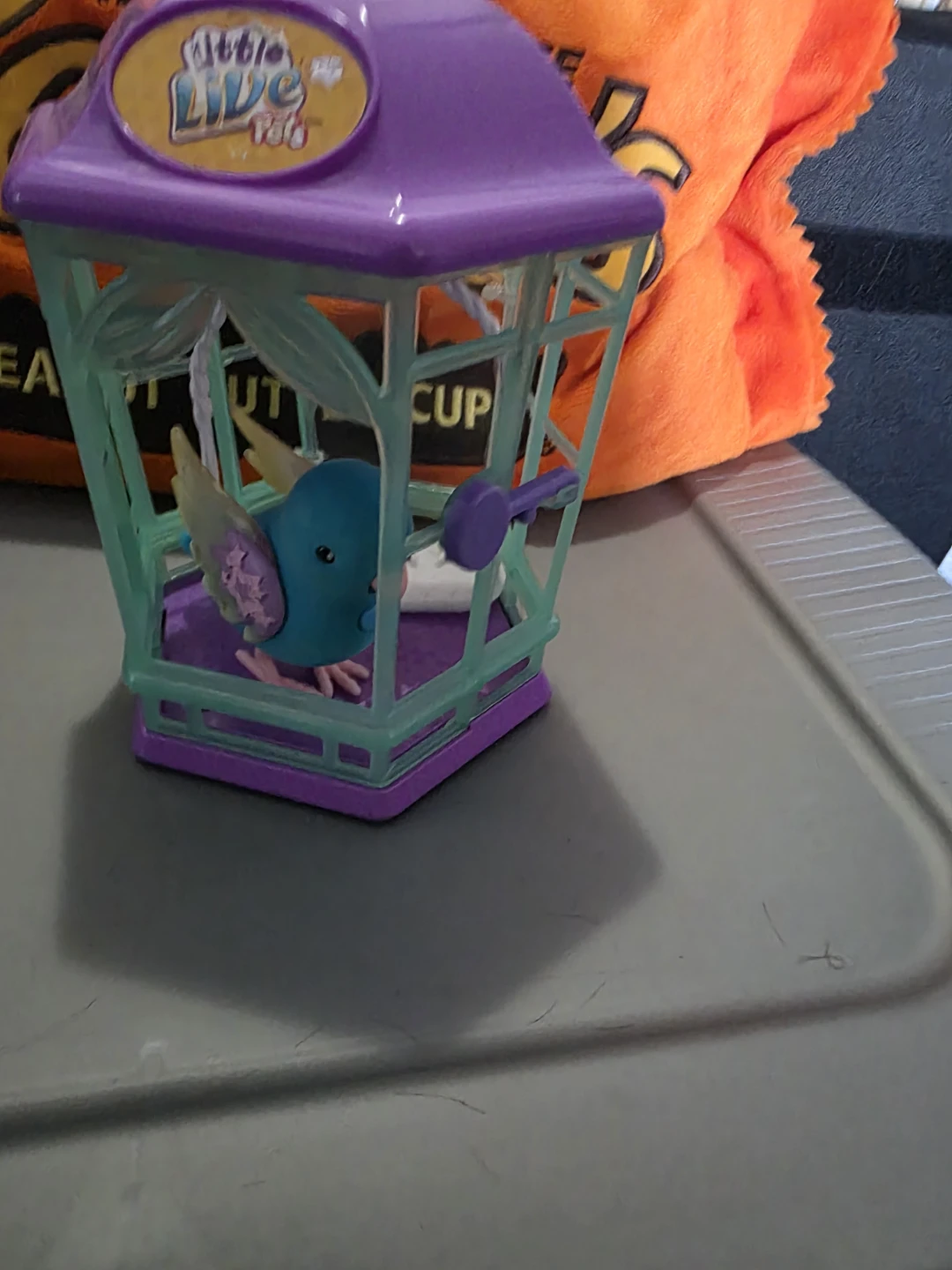 Little Live Pets Bird Cage