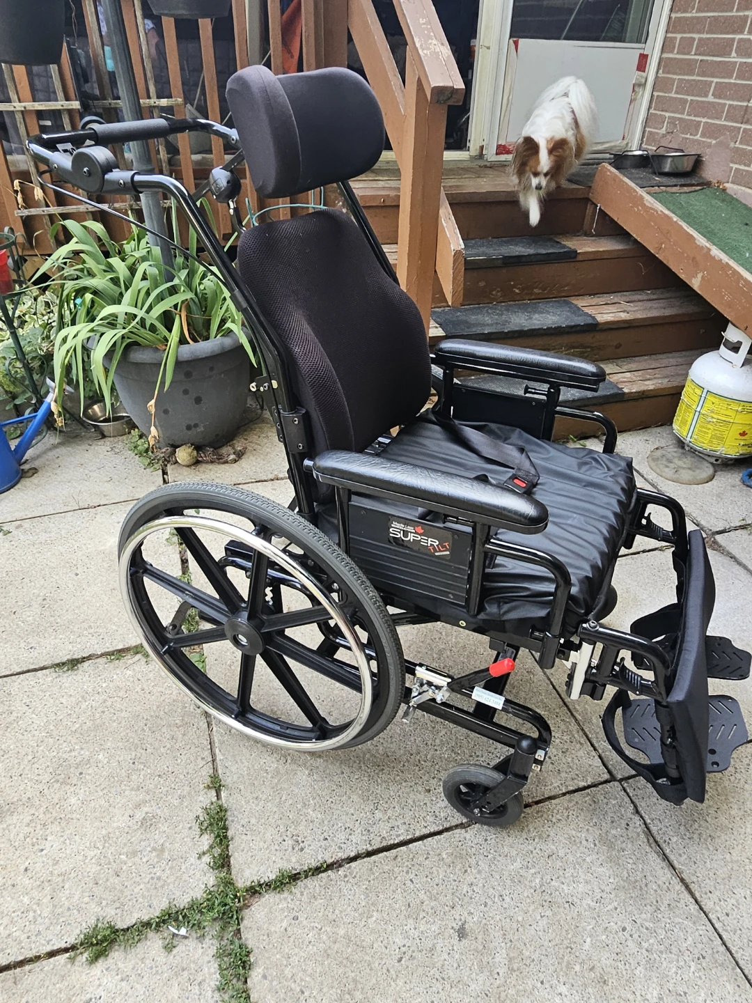 Maple leaf Wheelchair with Headrest