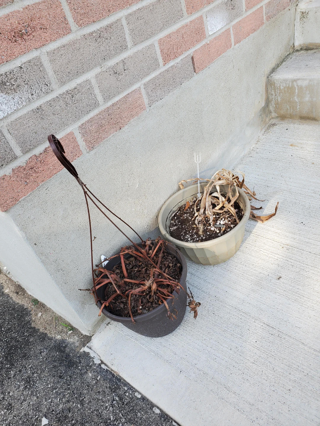 Two planters