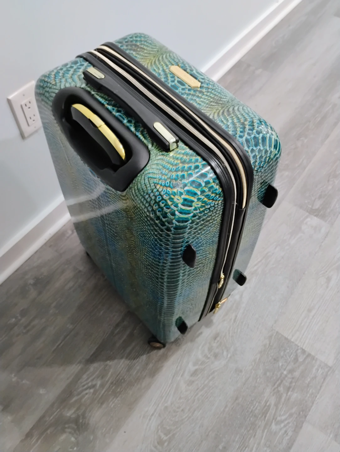 Aimee Kestenberg luggage - photo 3