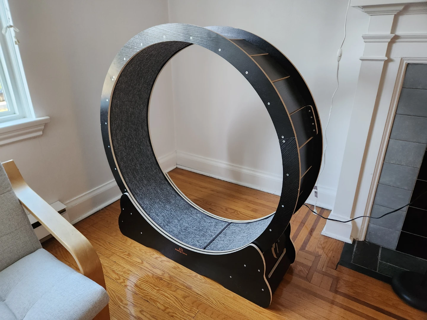 Large Cat Wheel
