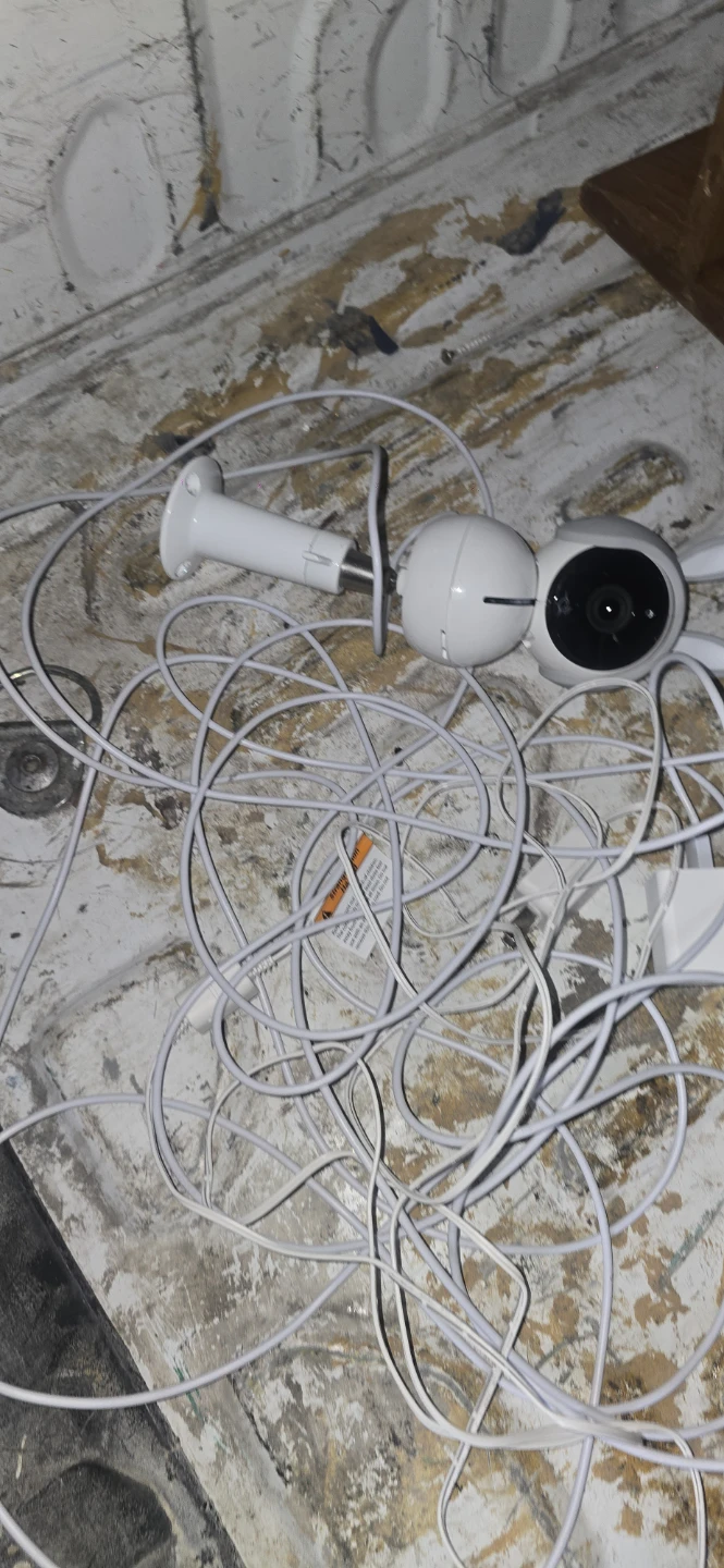 Arlo Baby Monitor Camera with Bunny Ears - photo 2