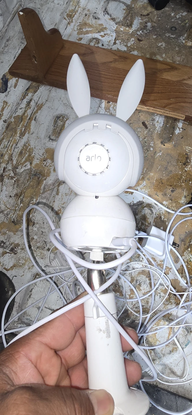 Arlo Baby Monitor Camera with Bunny Ears - photo 3