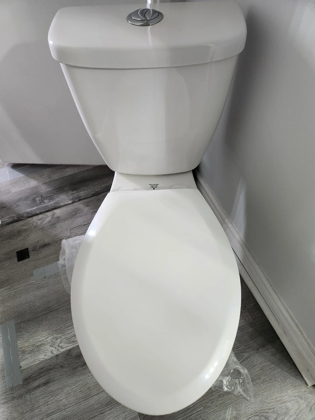 WaterRidge Toilet - photo 3