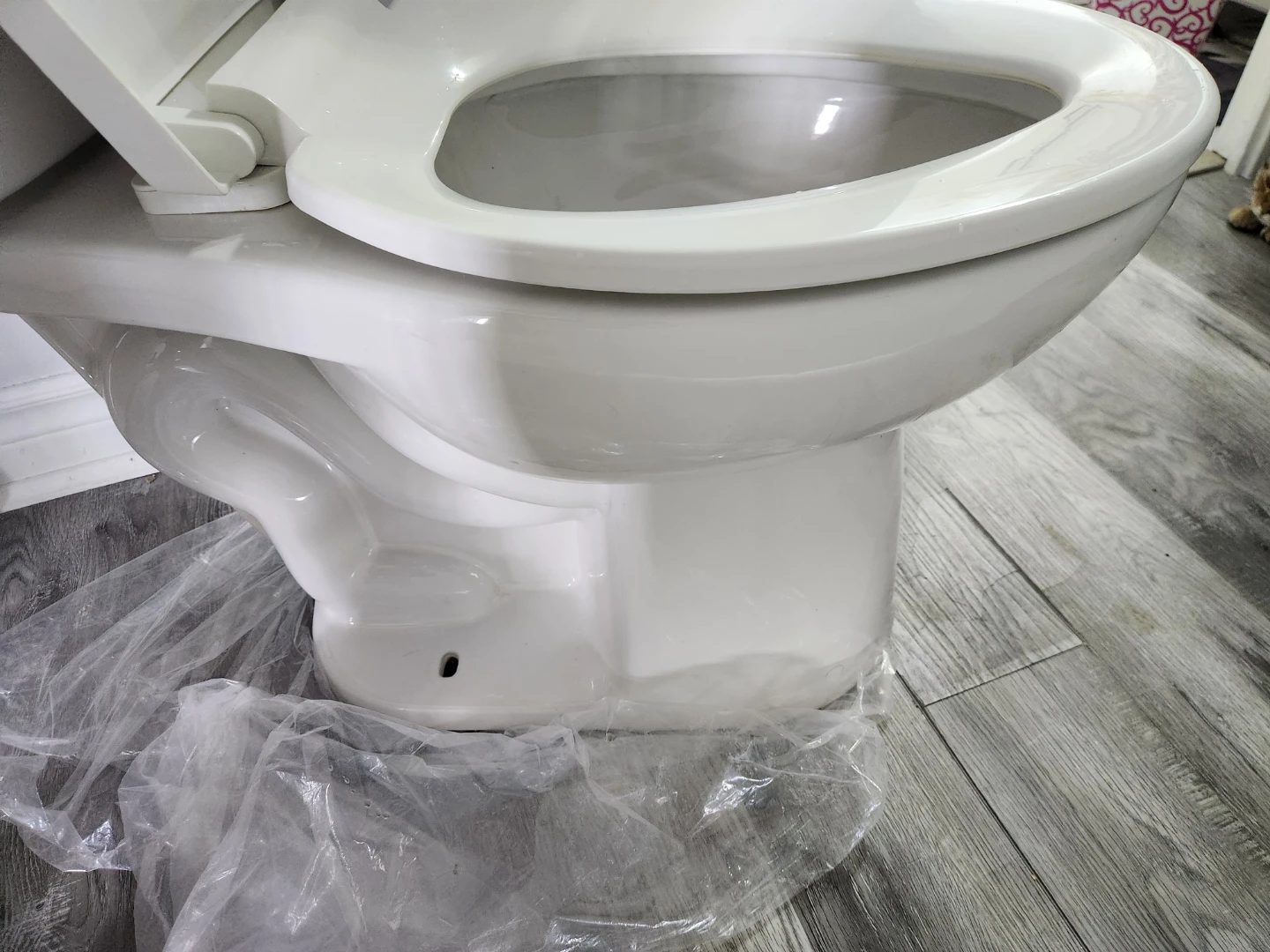 WaterRidge Toilet - photo 5