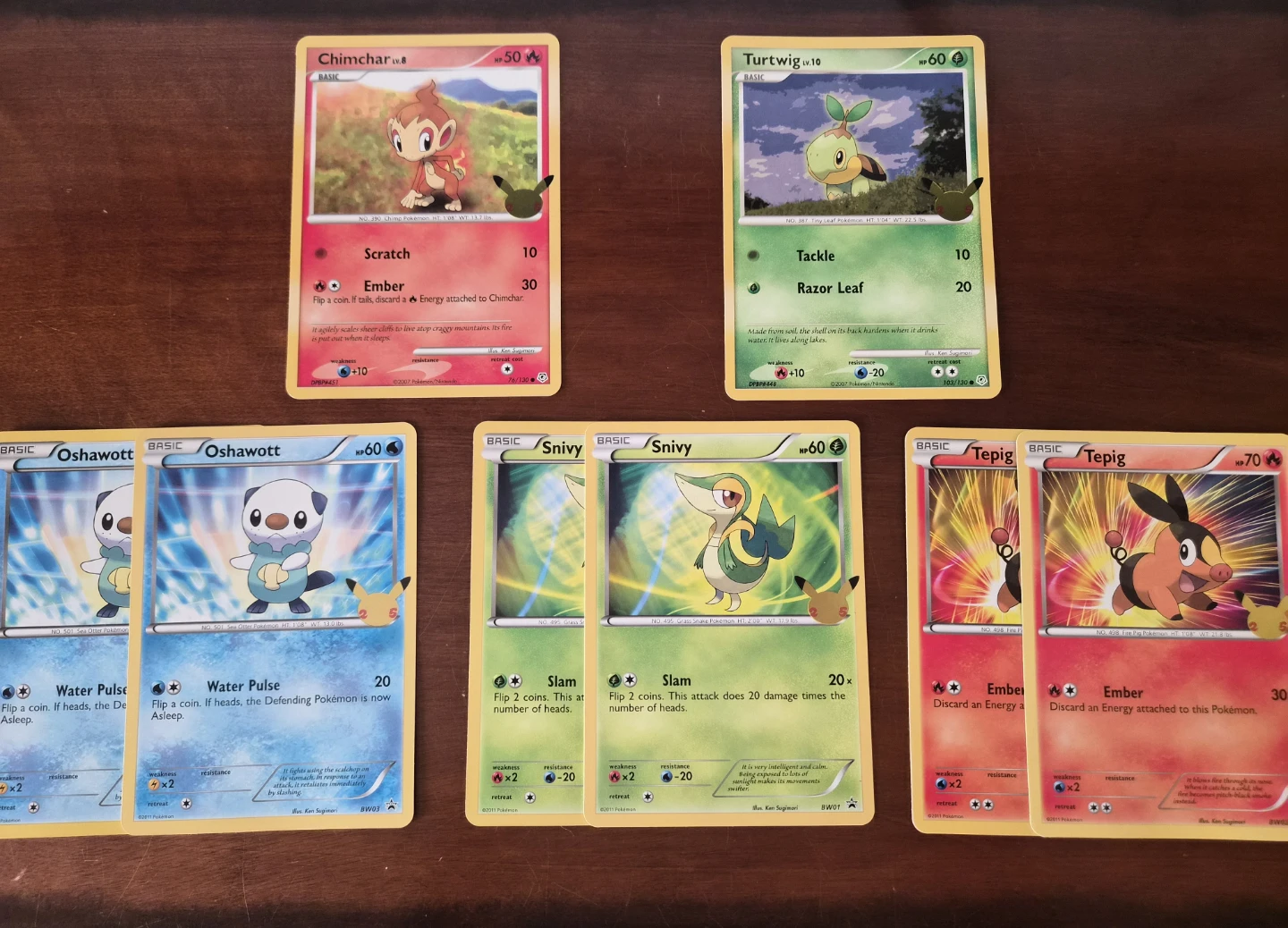 Read Bio | Pokemon 25th Anniversary Large Card Lot