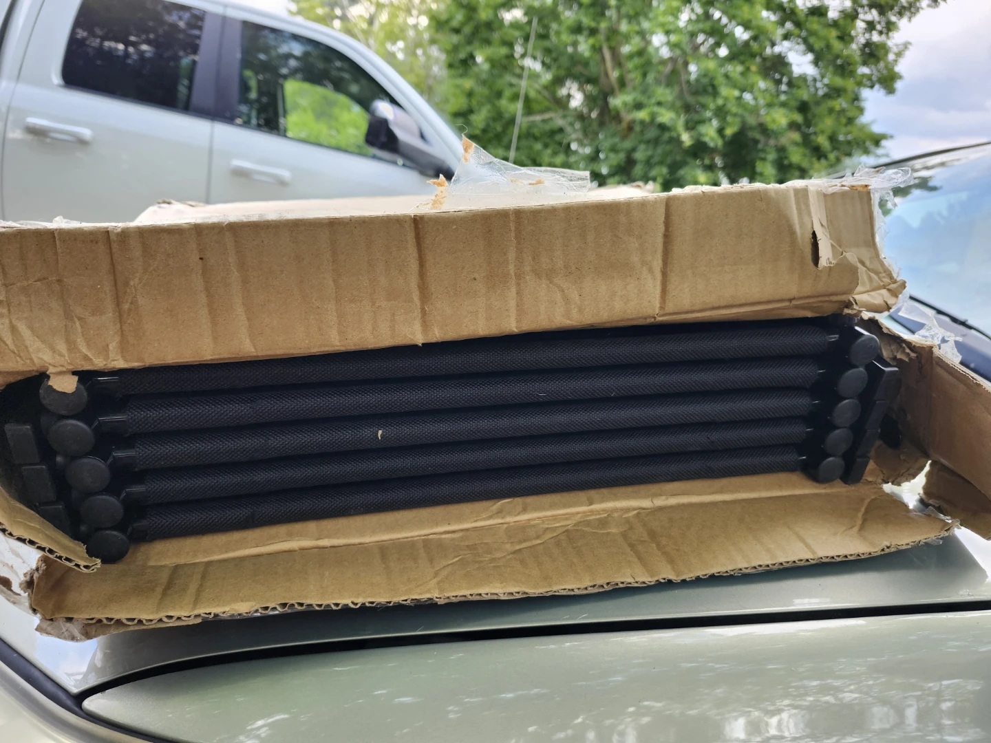 Dog ramp for cars
