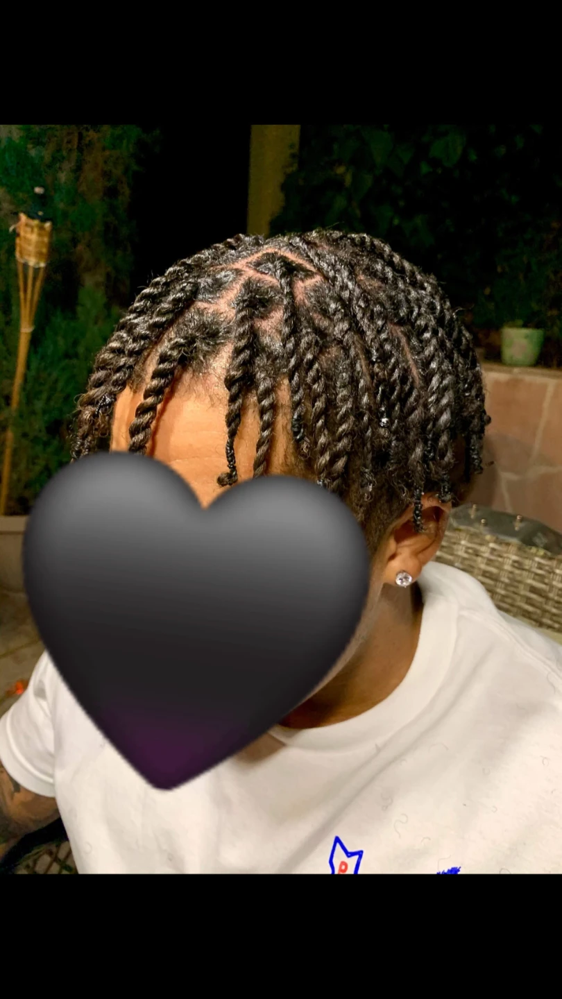 Braided Twists Hair Style