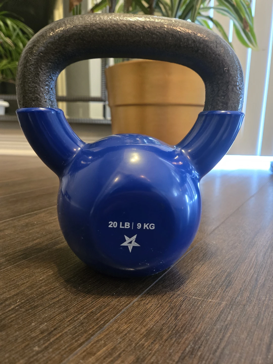 Blue Kettlebell - 20 LB / 9 KG