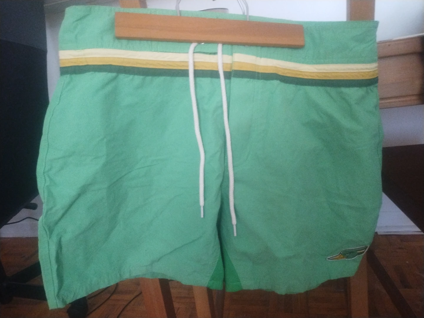 SWAM x Woodpecker Swim Trunks