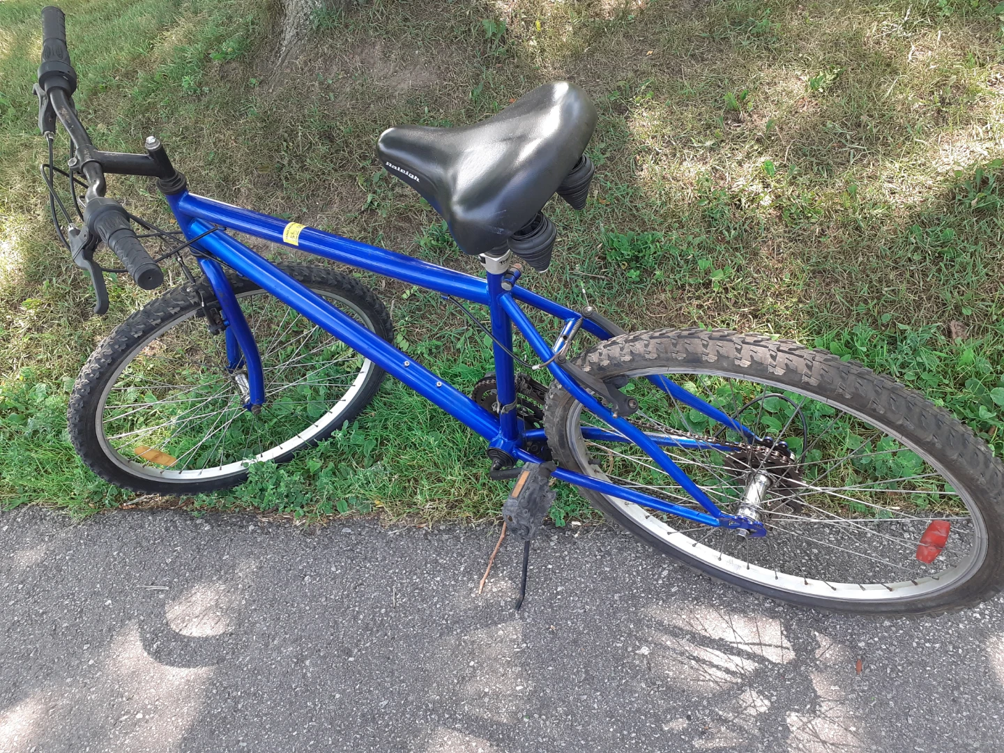 Blue Raleigh Mountain Bike 26 inch - photo 2
