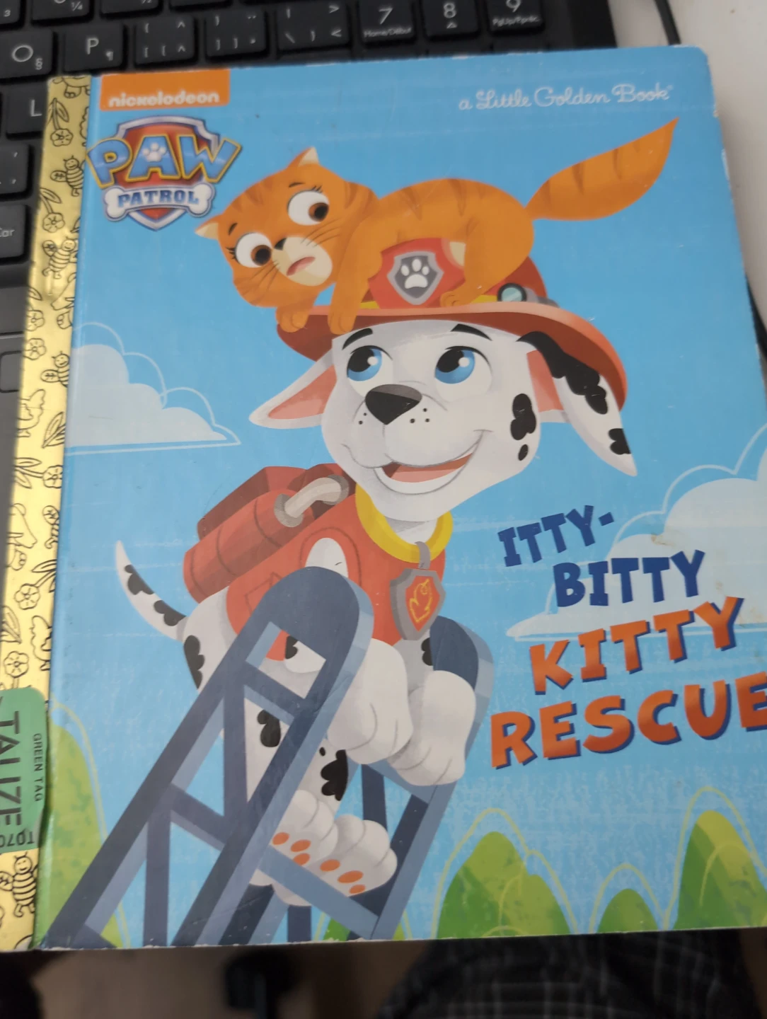 Paw Patrol Itty Bitty Kitty Rescue Little Golden Book