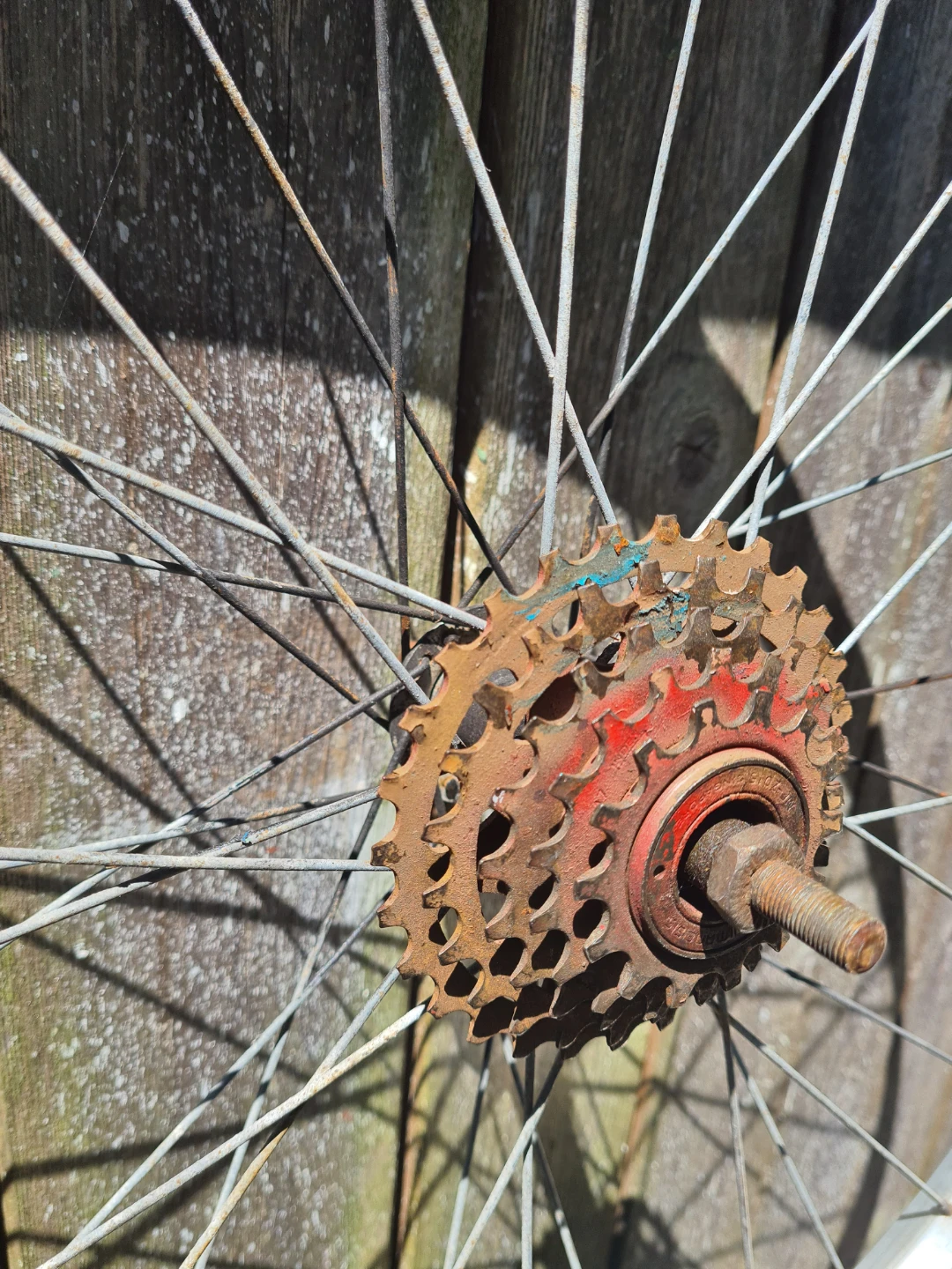 Used Bicycle Wheel with Cassette - photo 3