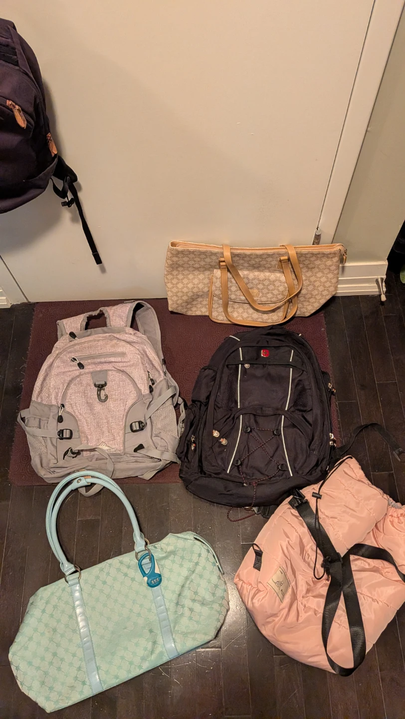 Assorted Carry-on Bags & Backpacks - photo 2
