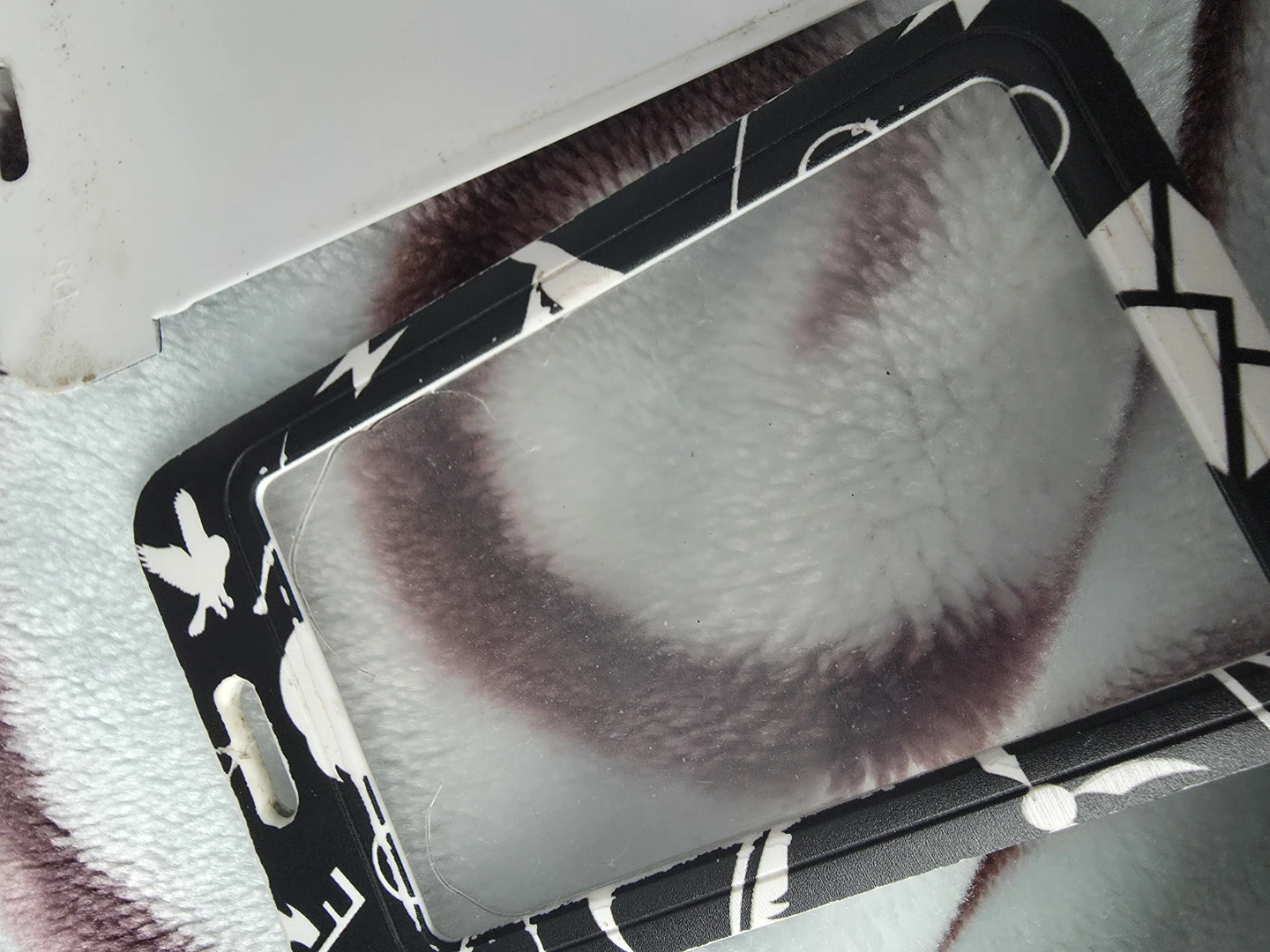 FREE Harry Potter Card Holder - photo 2