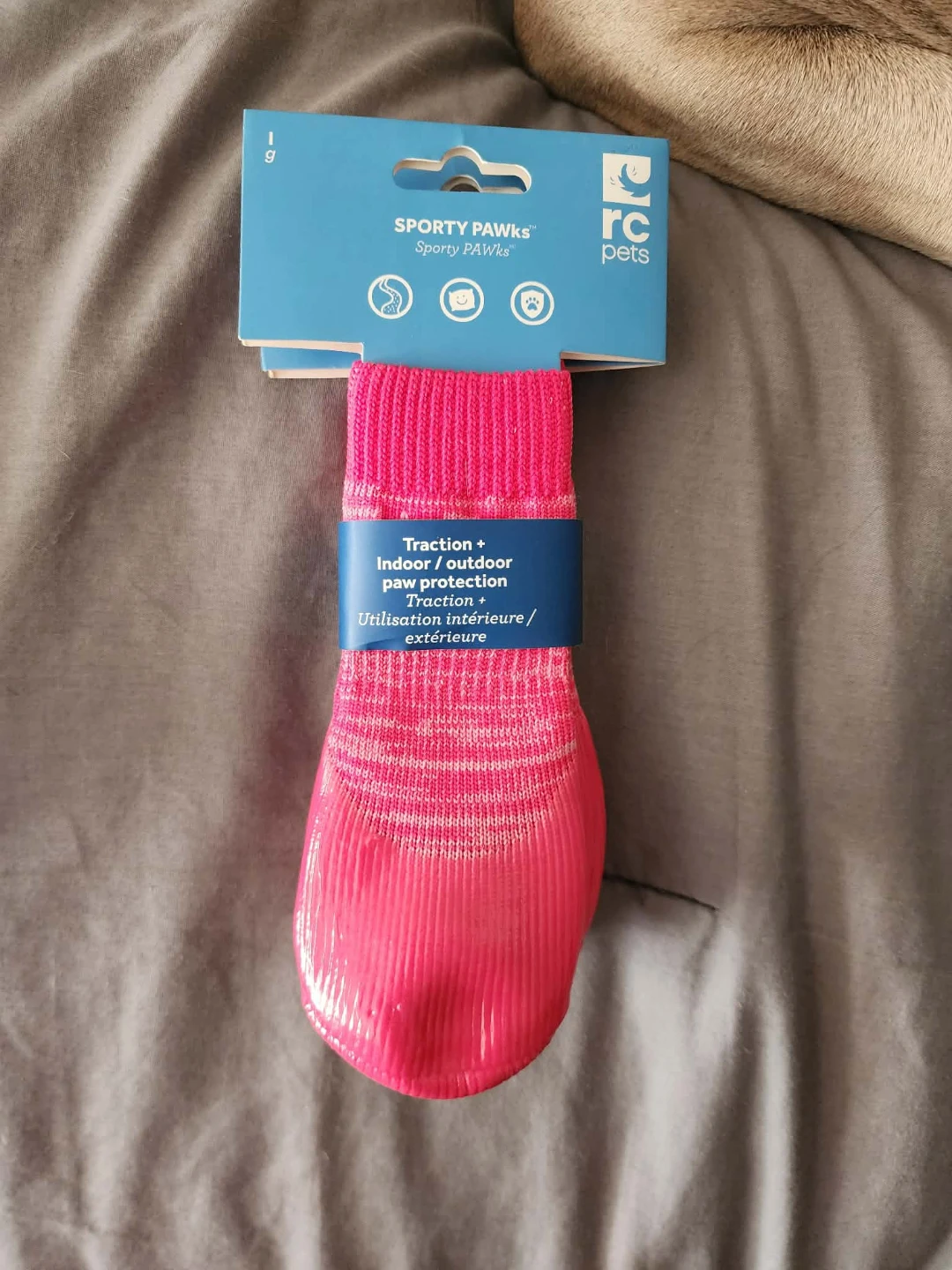 RC Pets Sporty Paws Dog Socks - Blue - Size L/G - photo 3