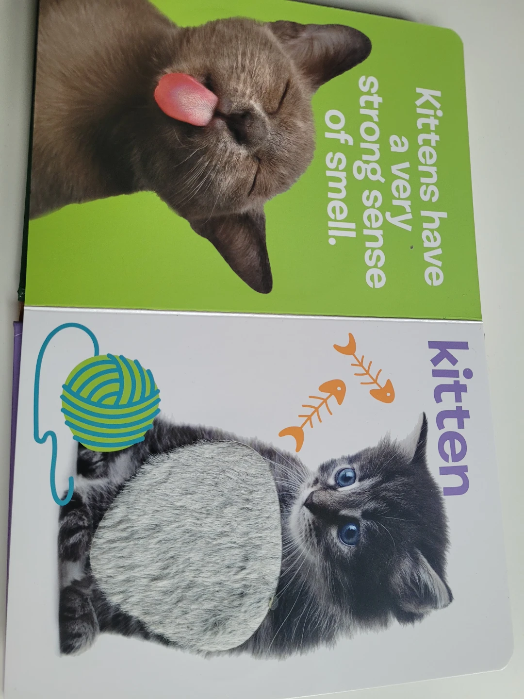 Touch & Feel Baby Animals Board Book - photo 2