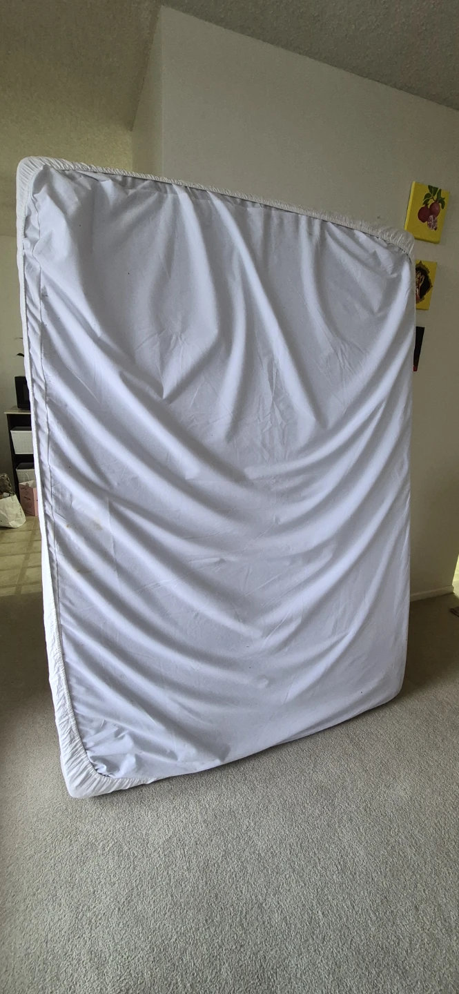 FREE queen mattress with washable protector