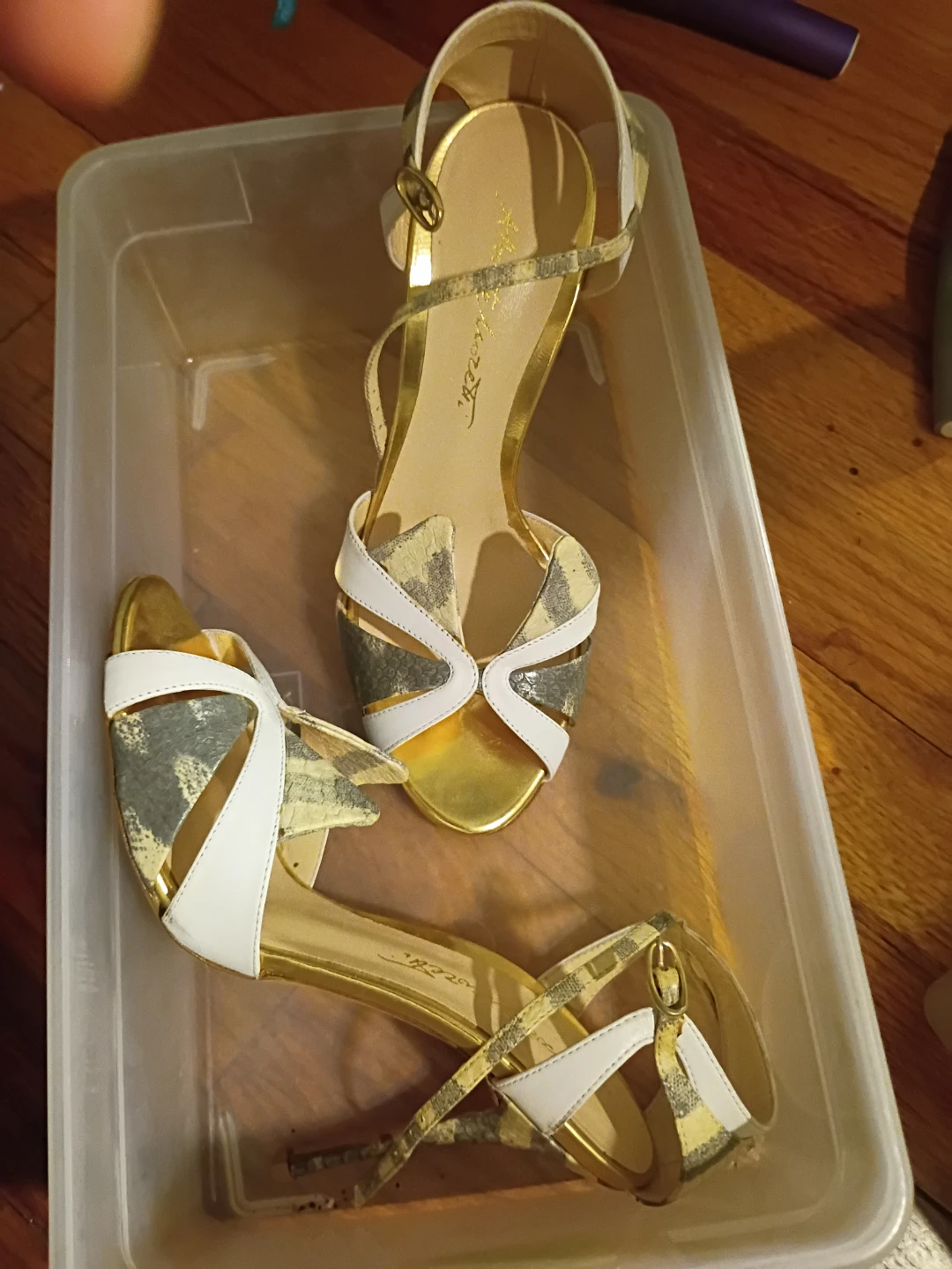 Alberto mi youGold and White Strappy Heels