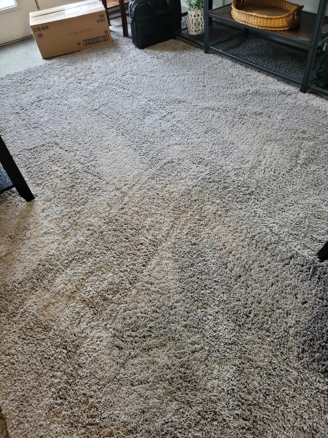 Shag Area Rug