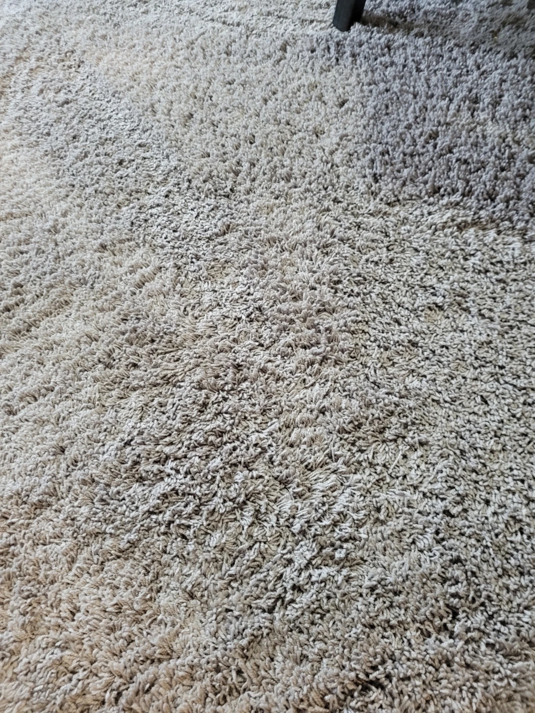 Shag Area Rug - photo 2