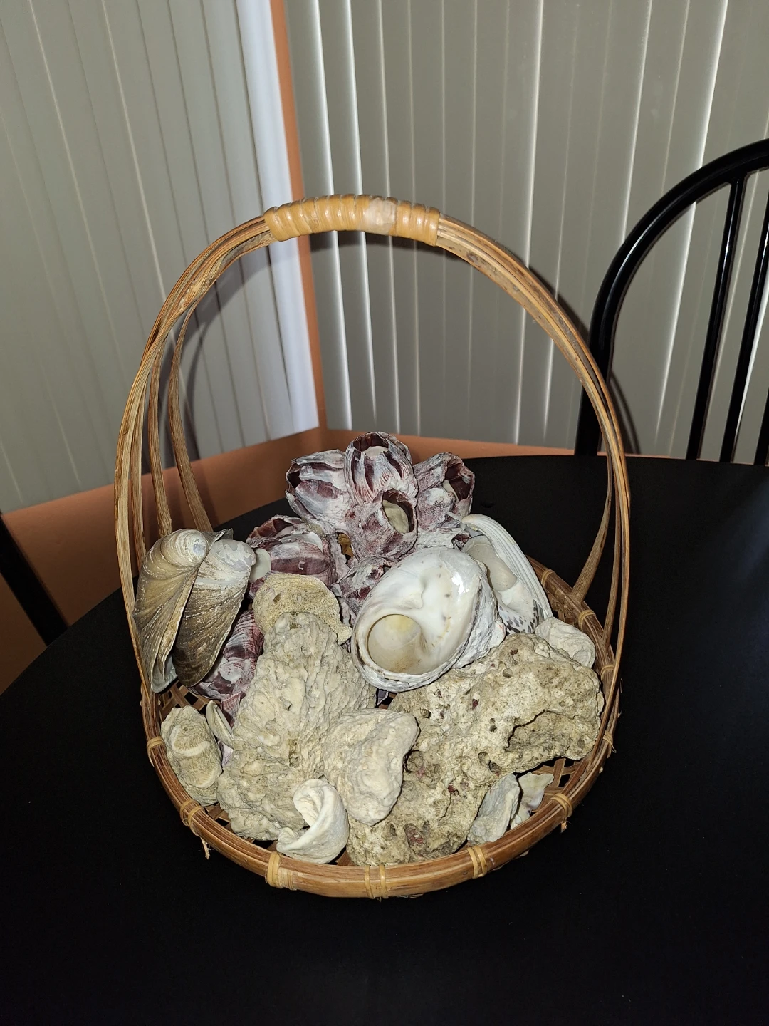 Seashell and Barnacle Decor - photo 4