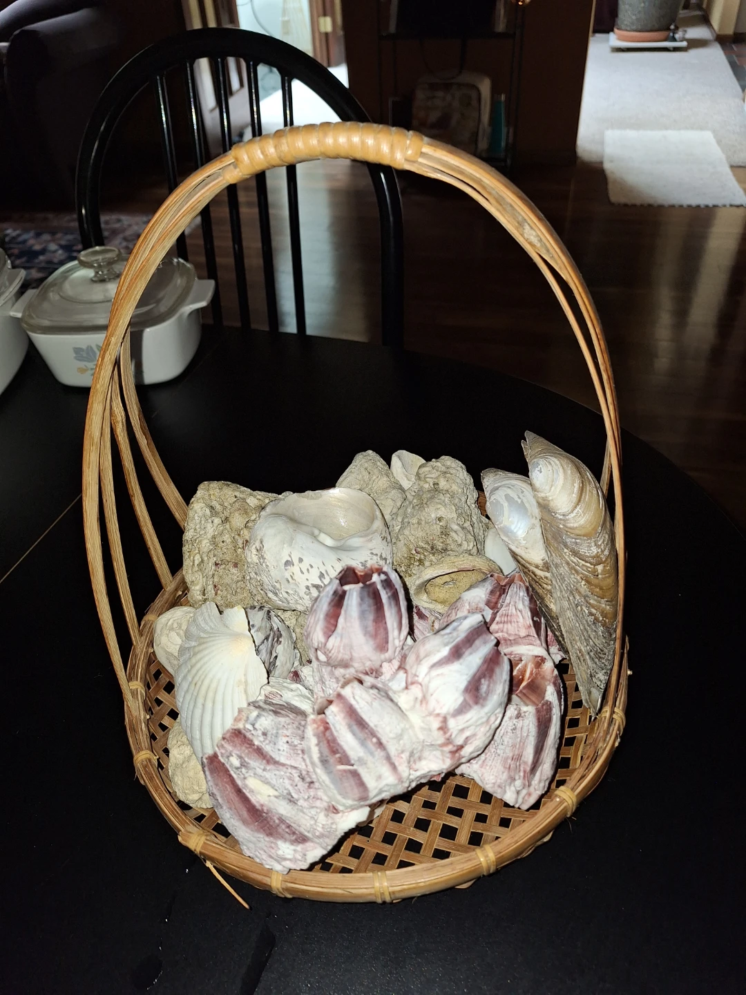 Seashell and Barnacle Decor - photo 5