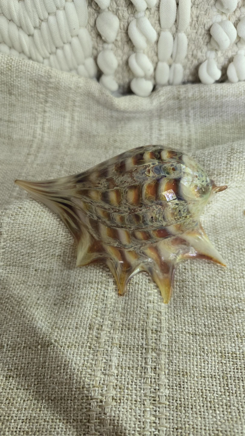Decorative Glass Seashell Figurine Displaced signature - photo 4