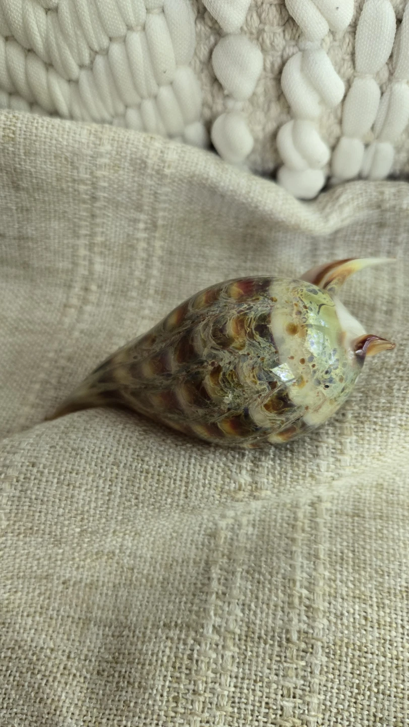 Decorative Glass Seashell Figurine Displaced signature - photo 5
