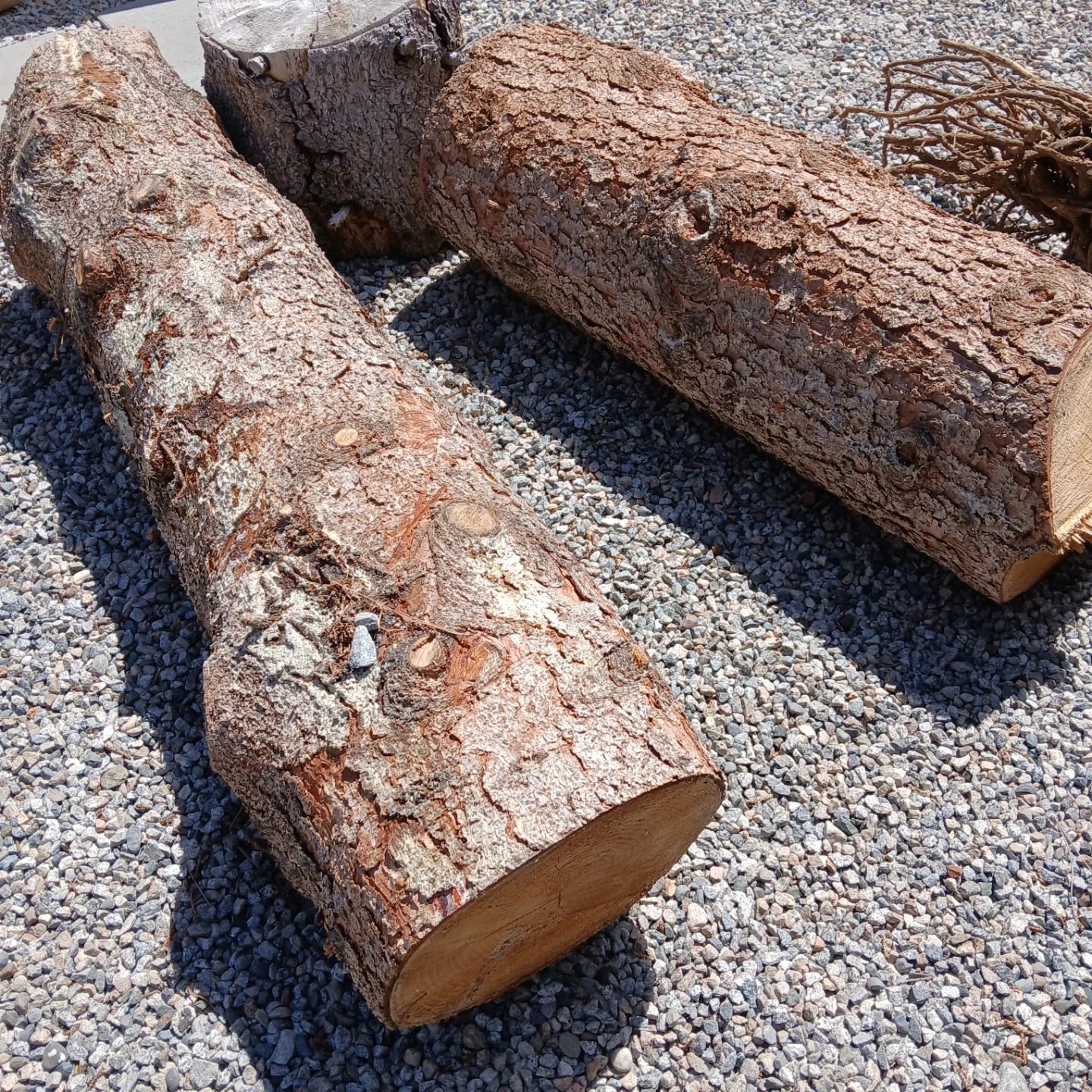 Free firewood
