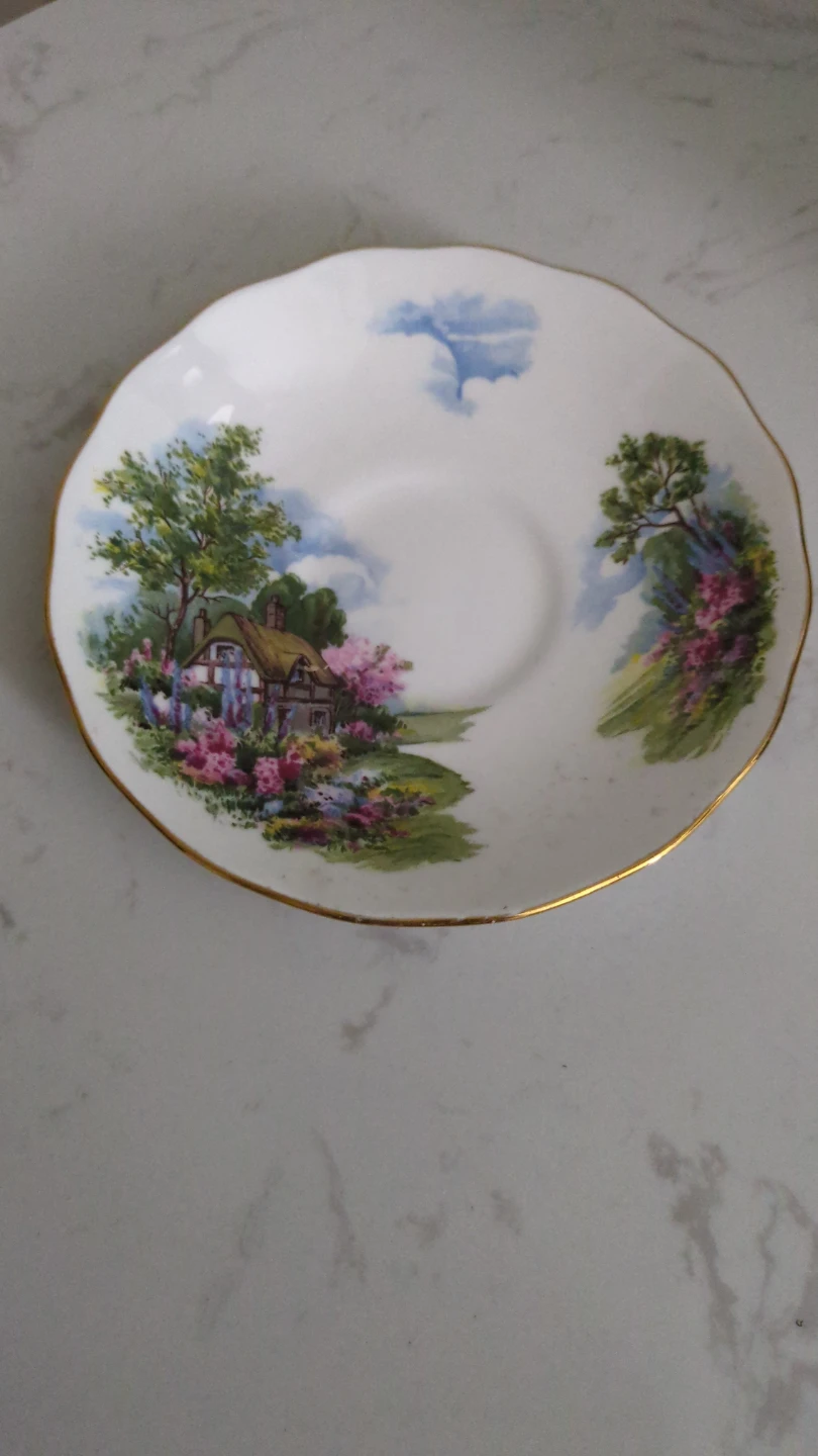 Royal Vale Fine Bone China Teacup and Saucer Set - photo 2