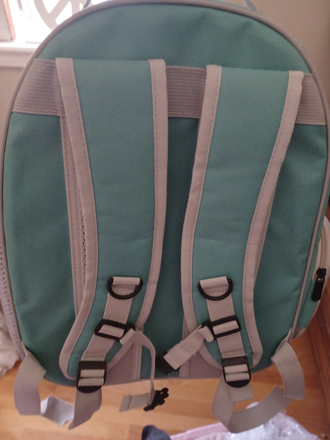 Bird/small animal carrier