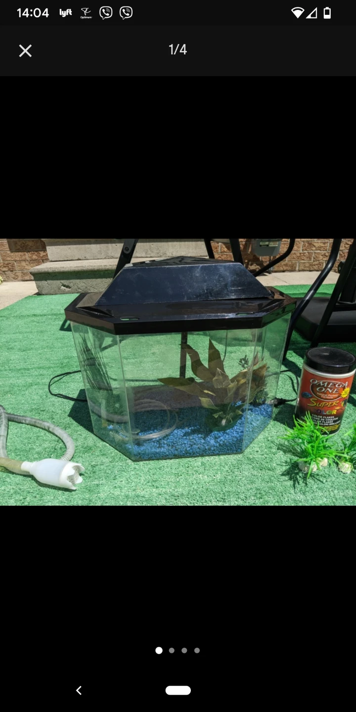 Tetra Aquarium Starter Kit 5Gal