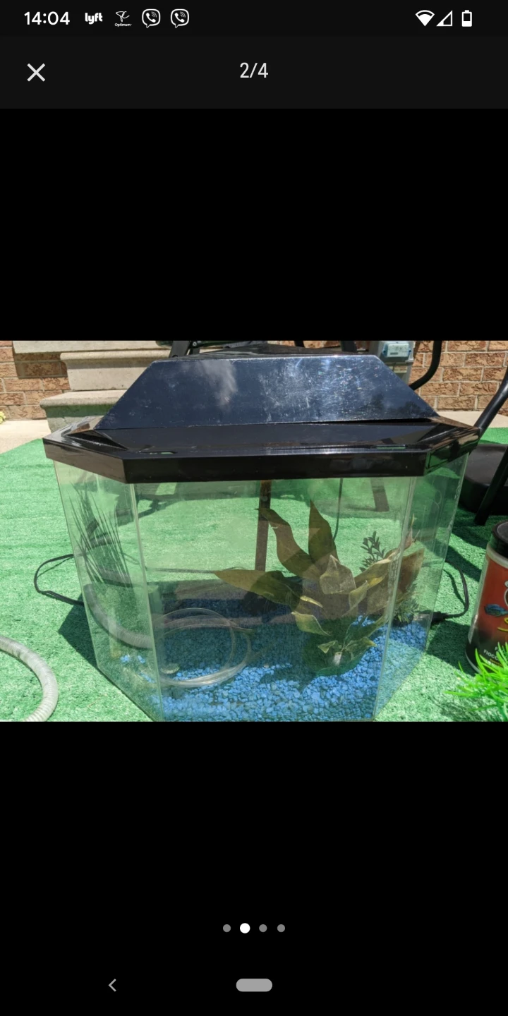 Tetra Aquarium Starter Kit 5Gal - photo 2
