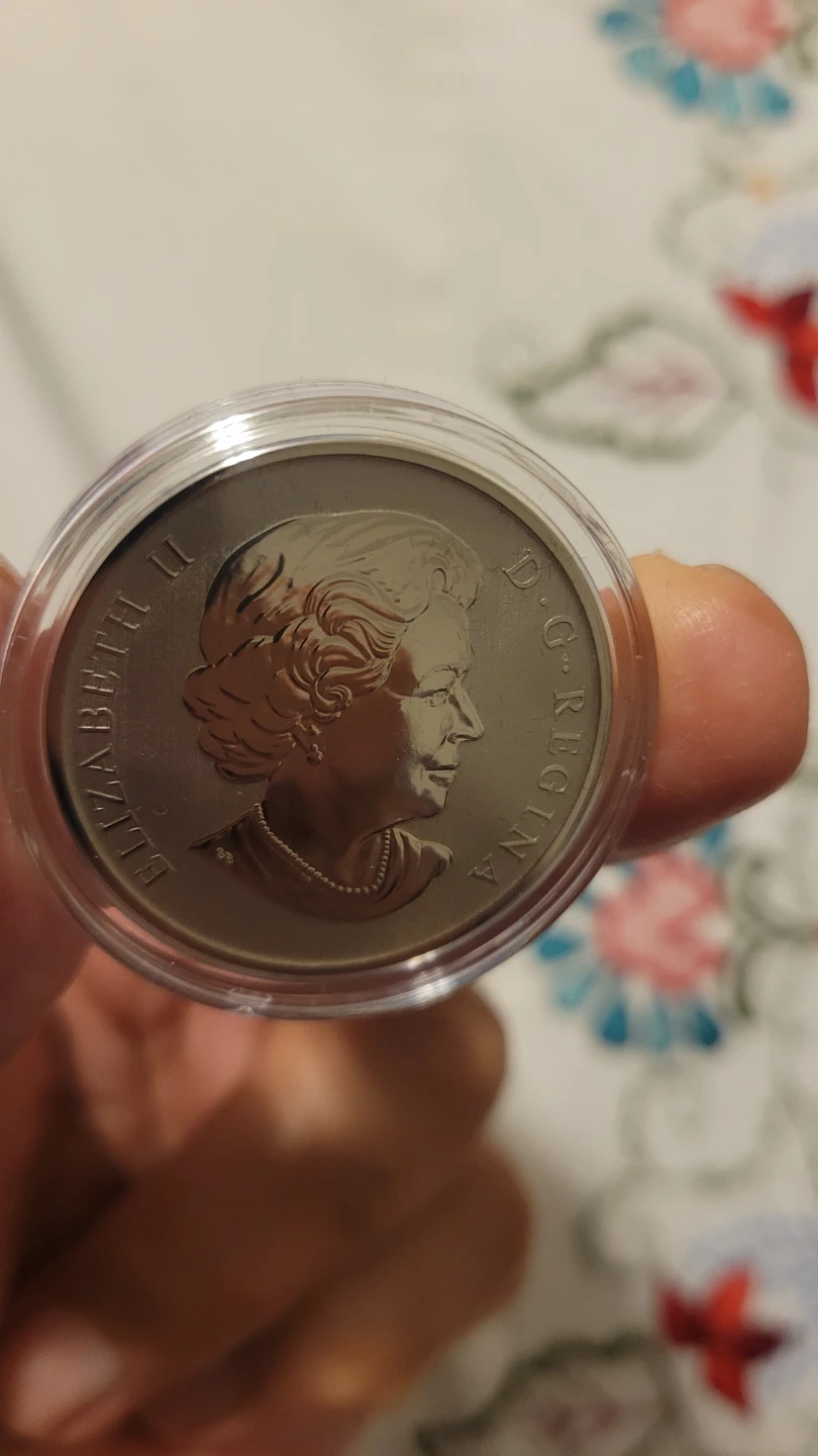 2013 Canada 50 Cents Coin - Winter Scene - photo 4