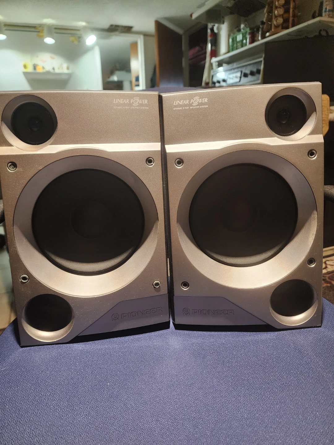 Pioneer S-A200 Dynamic 2-Way Speaker System