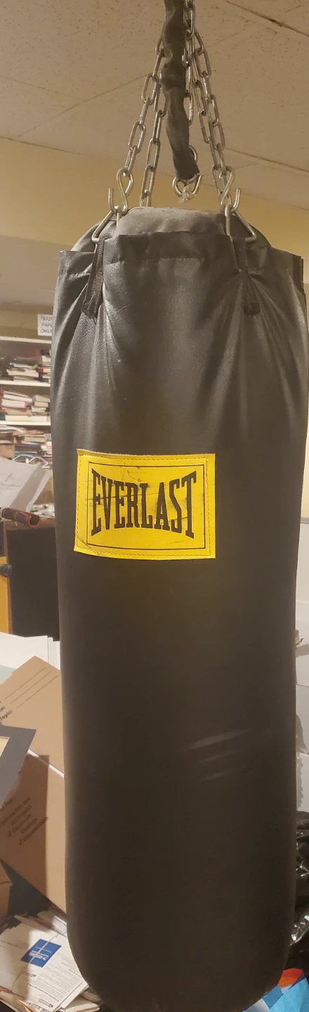 Everlast Punching Bag