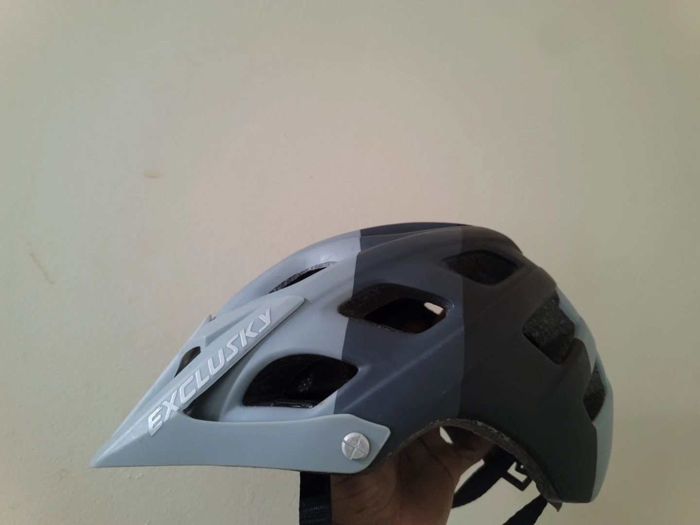 Biking Helmet for Sale