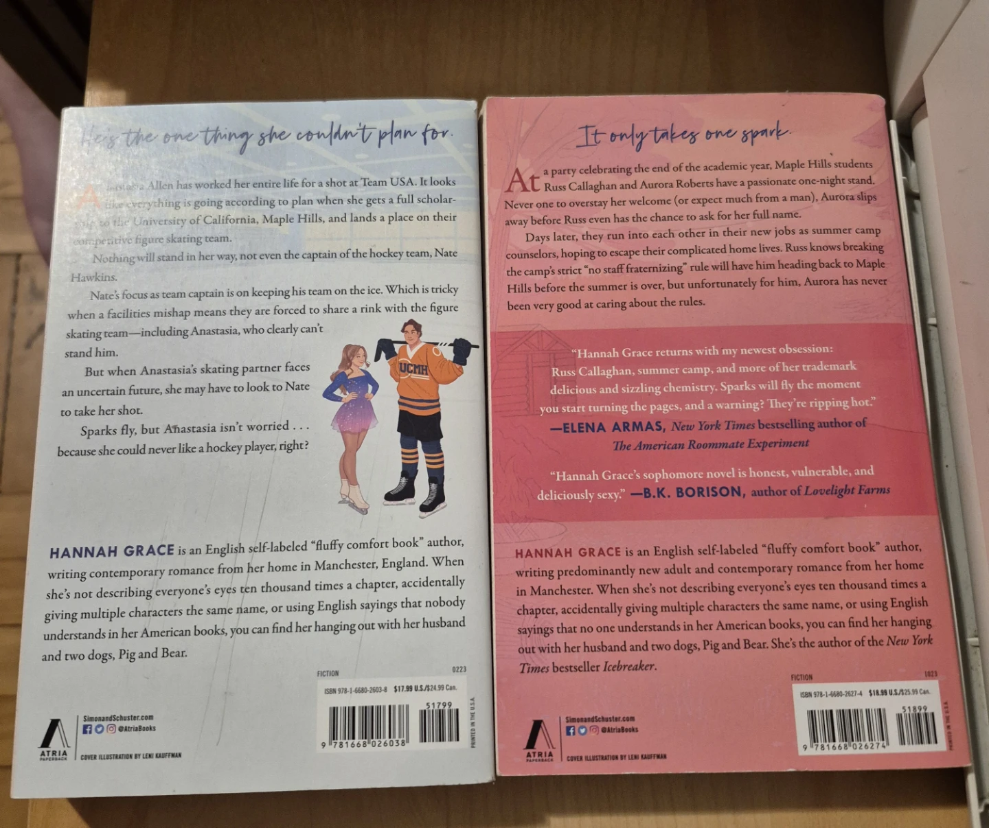 BN)2 Icebreaker & Wildfire Books by Hannah Grace - photo 2