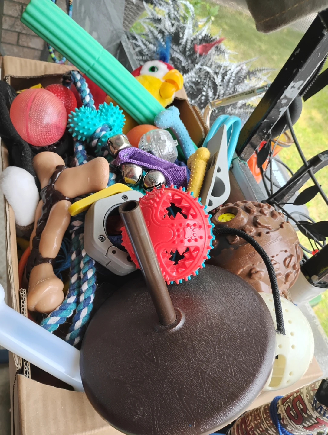 Box of assorted dog toys