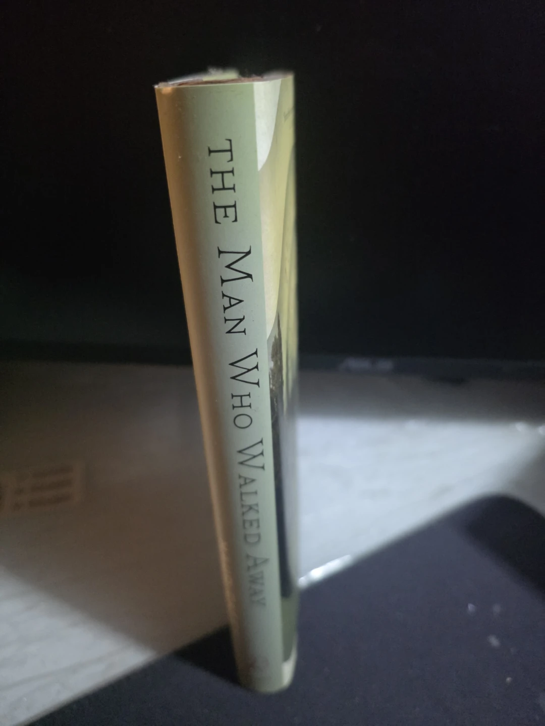 The Man Who Walked Away Novel by Maud Casey - photo 2