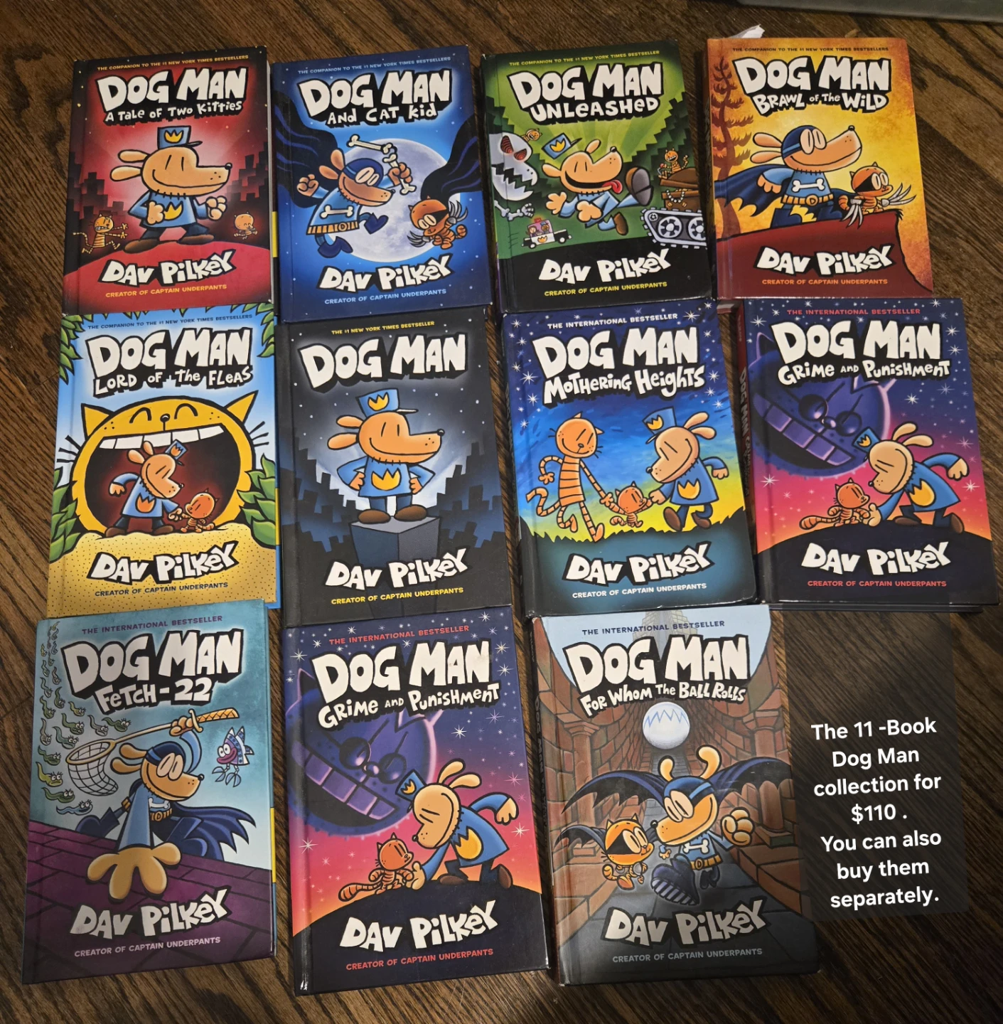 6 Book Set: Dog Man- Cat kid- Space Cat- Astrophe- The Cat