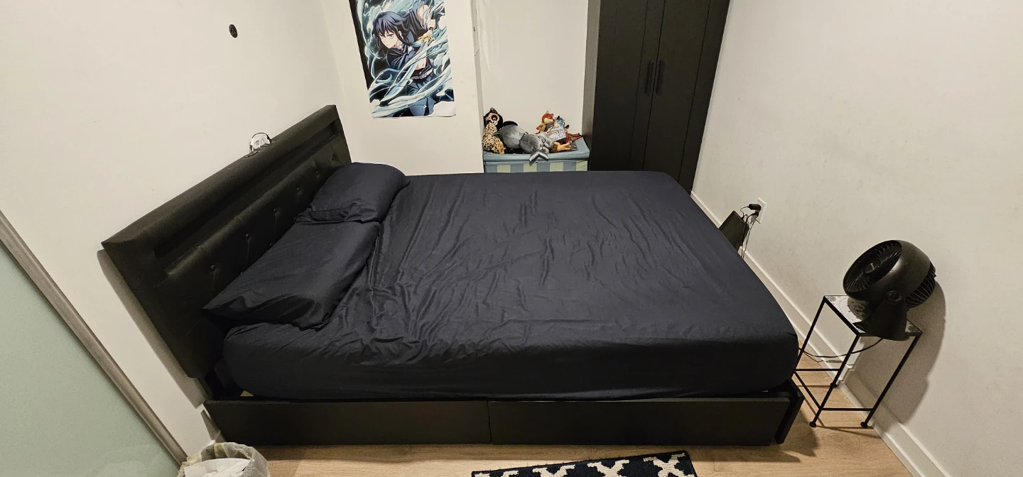 Rolandstar Queen Bed (+mattress) with LED Lights