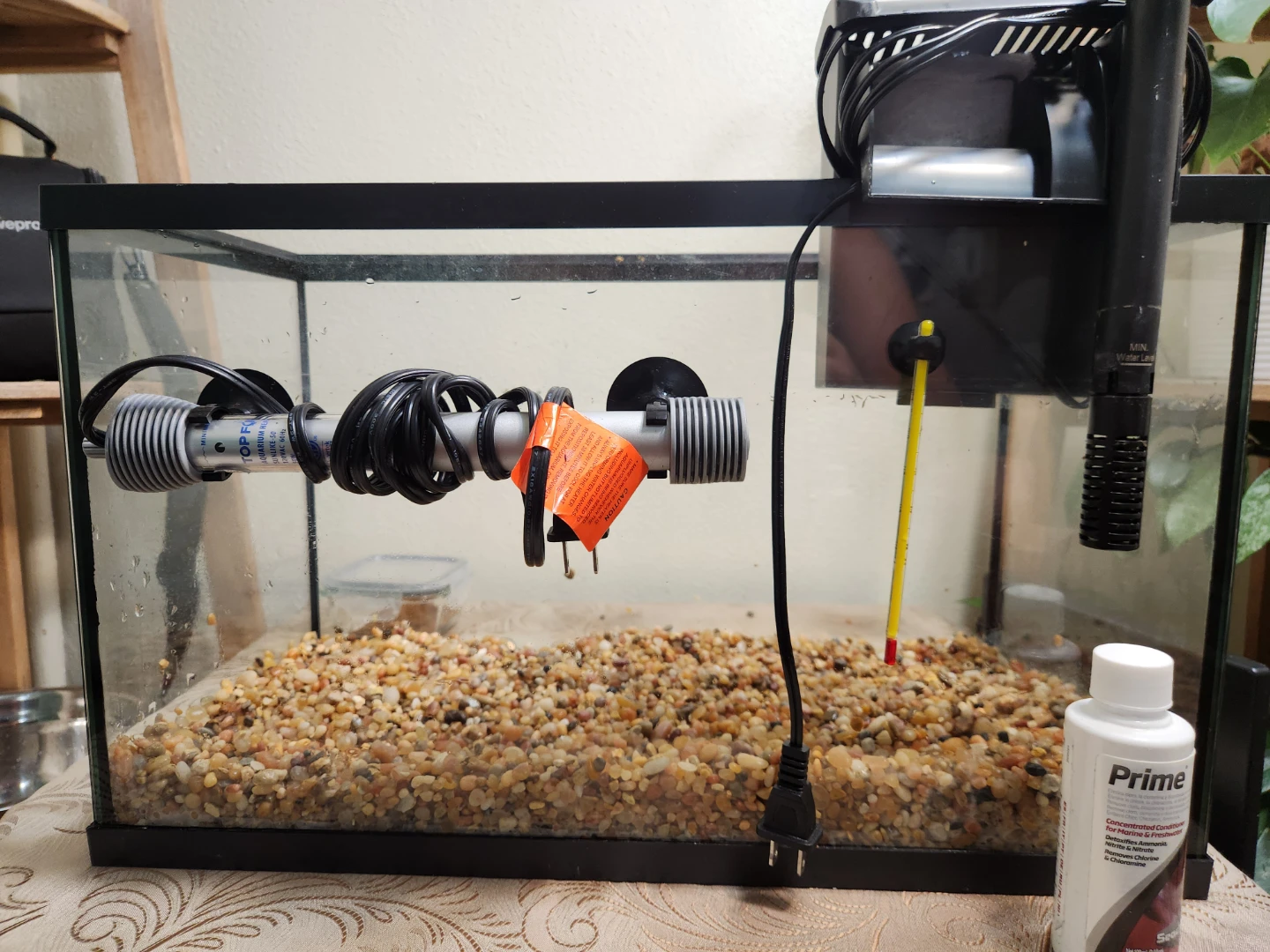 10 gal Aquarium moving sale - photo 2