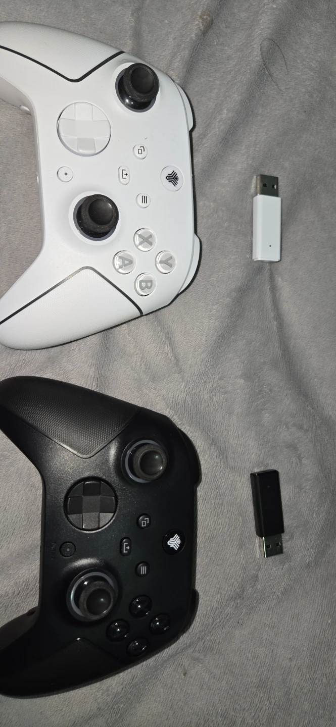 2 Wireless Controllers with USB Dongles