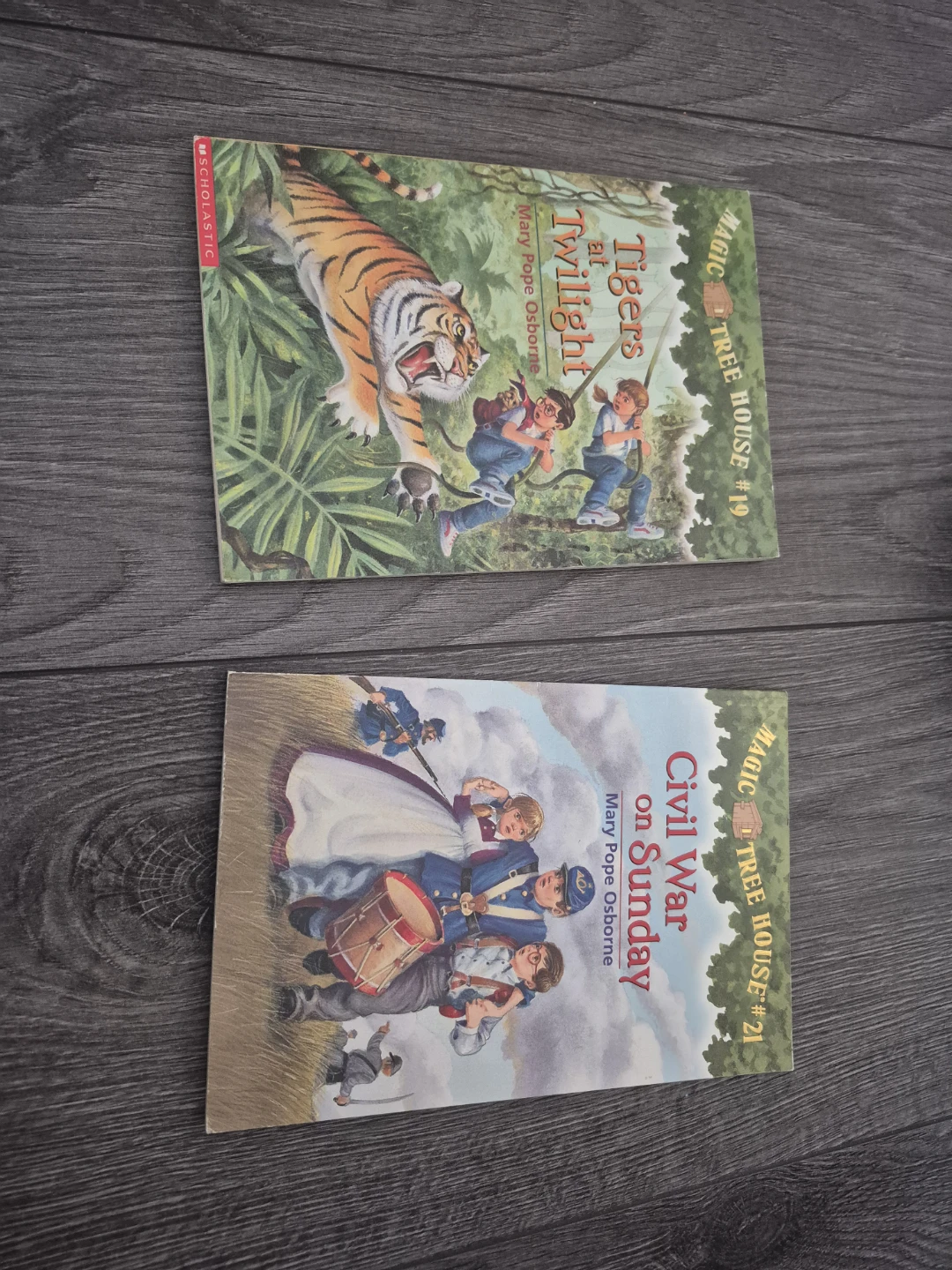 Magic Tree House Book Collection - photo 4
