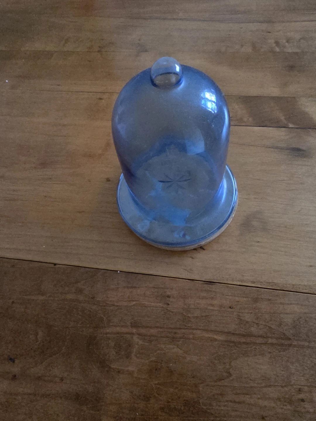 Blue Glass Bell Jar with Ceramic Base