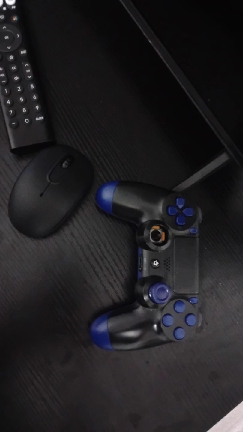 Gaming setup - photo 3