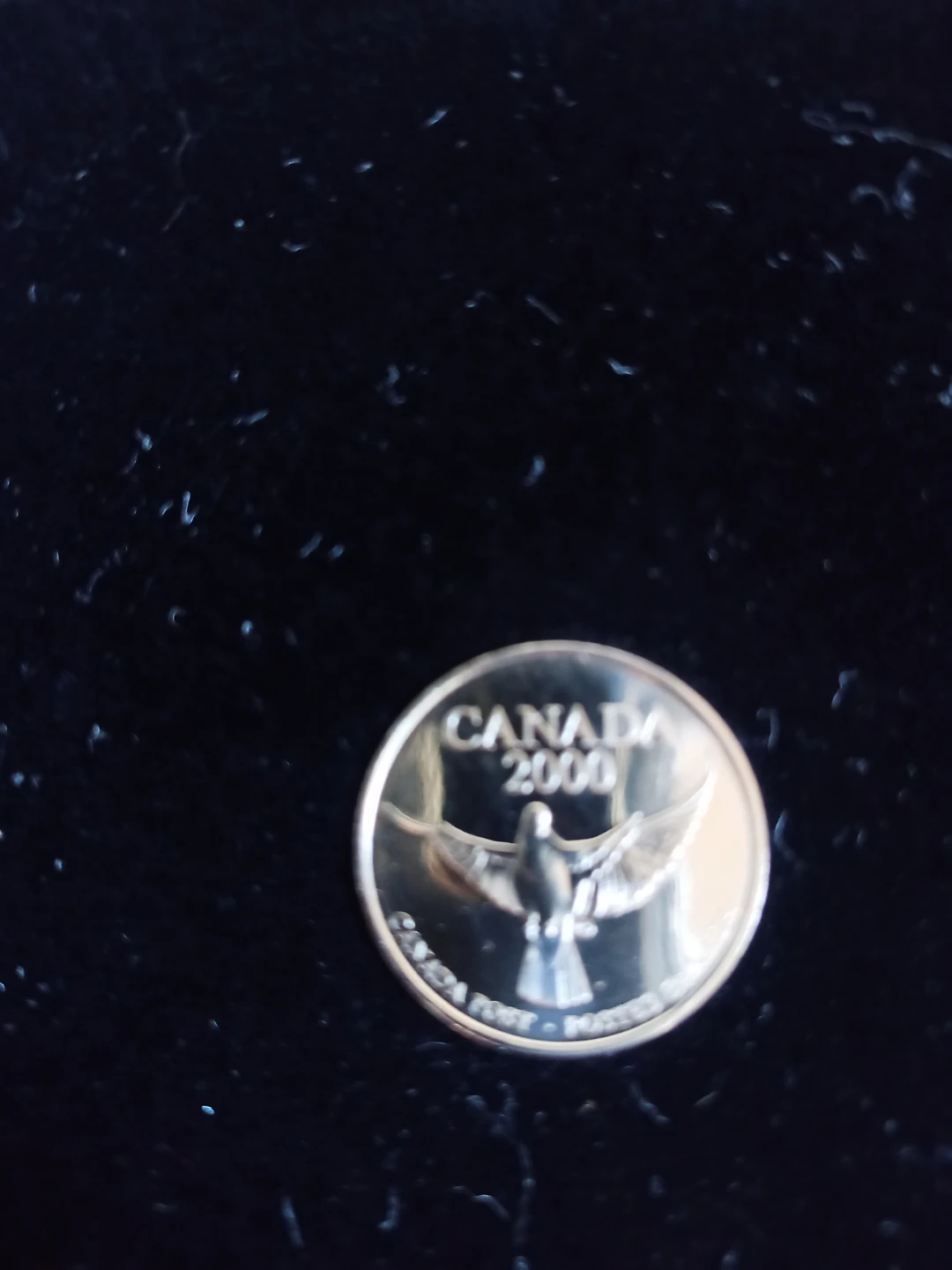 The Official Millennium Keepsake (1999–2000) - photo 2
